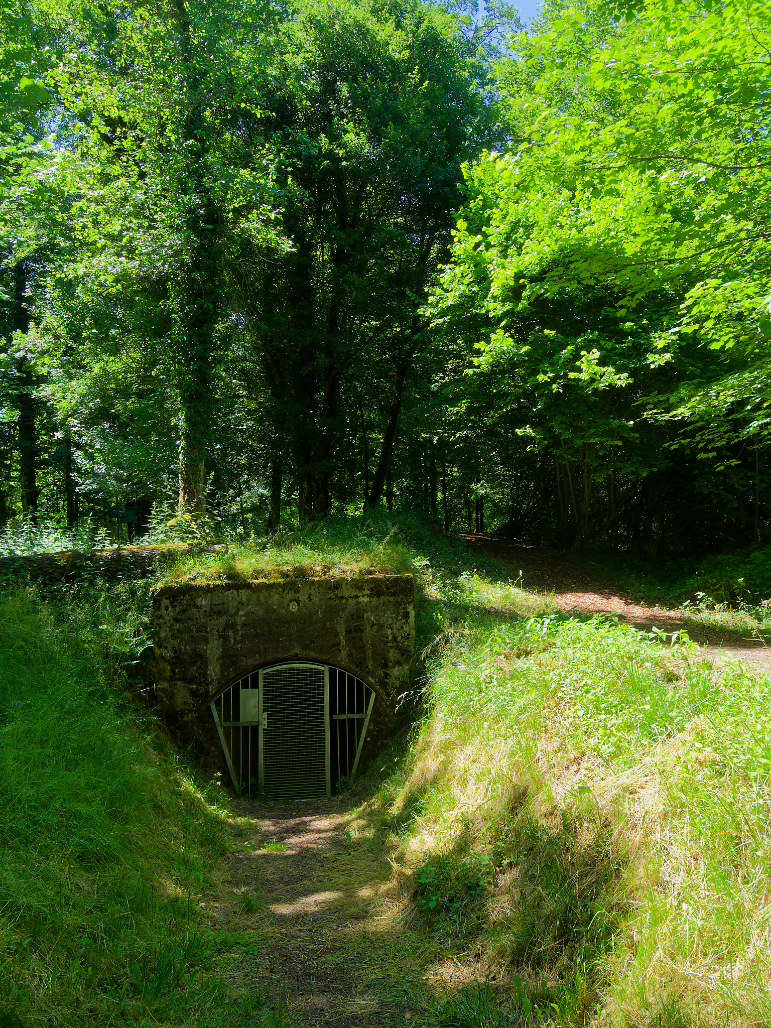 14 Juin 2026 – Nancy – (Y)Lutz – (Z)illisheim -> Domicile