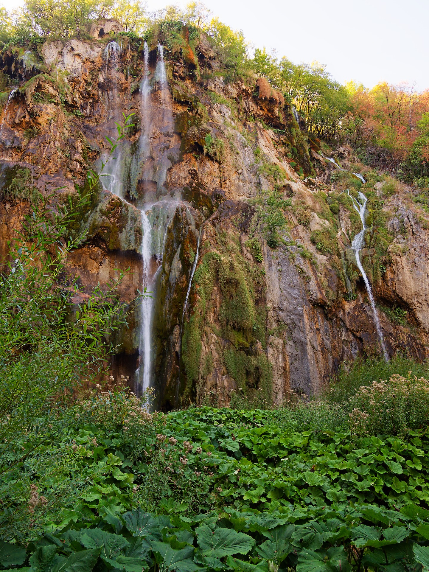 4 Septembre 2026 – Buzet – Parc National des Lacs de Ptiviltci