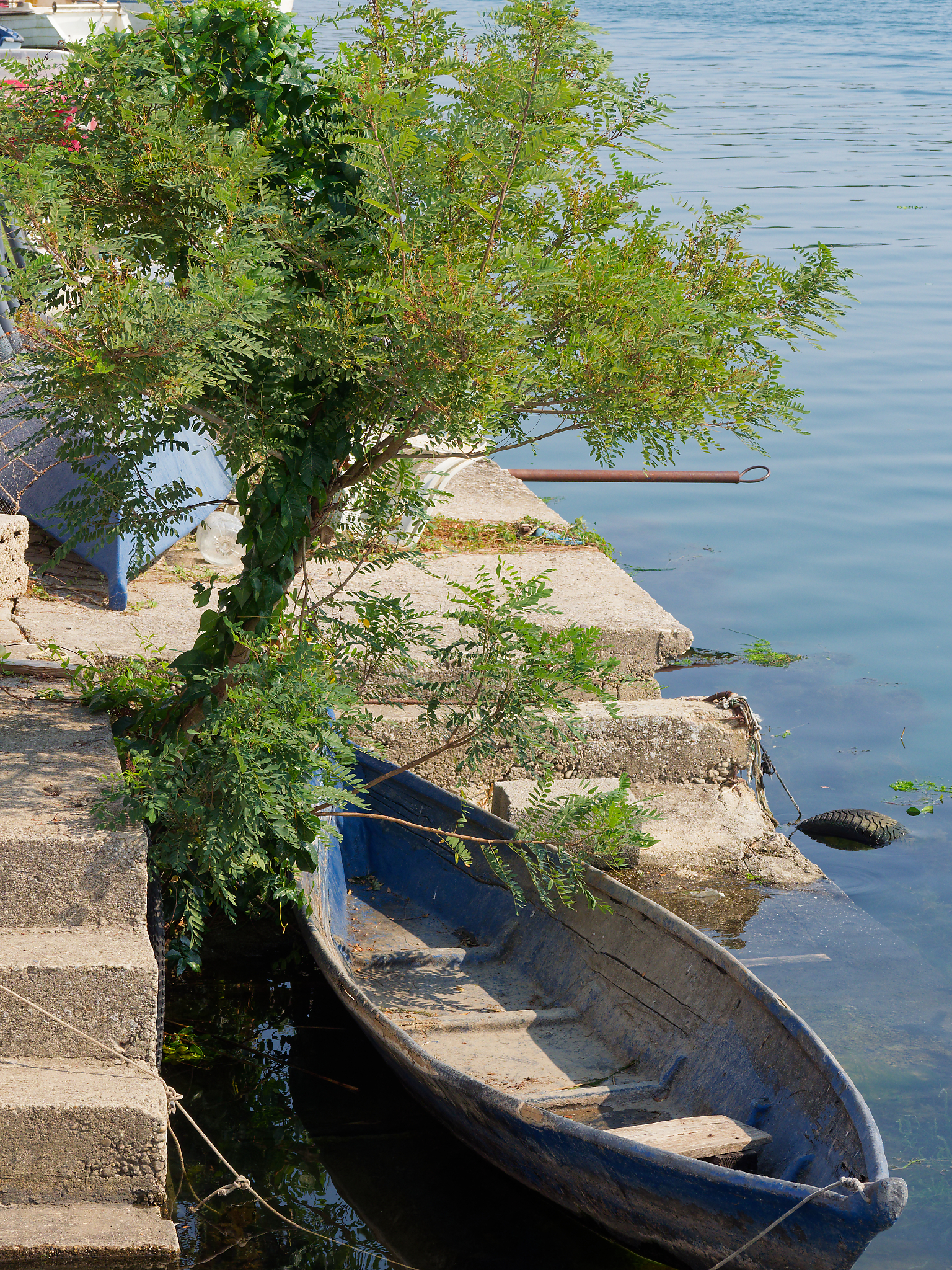 9 Septembre 2026 – Trogir / Ploce